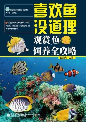 喜欢鱼没道理——观赏