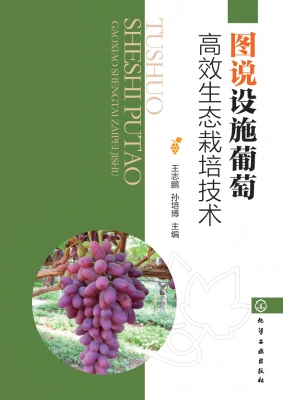 图说设施葡萄高效生态