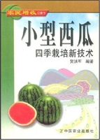 小型西瓜四季栽培新技