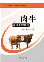 肉牛养殖关键技术