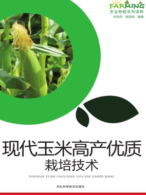 现代玉米高产优质栽培
