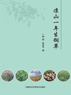 凉山一年生饲草