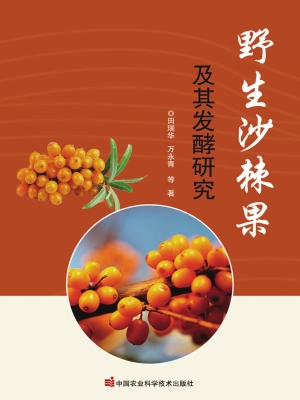 野生沙棘果及其发酵研