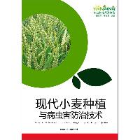 现代小麦种植与病虫害