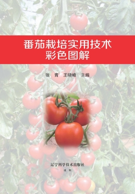 番茄栽培实用技术彩色