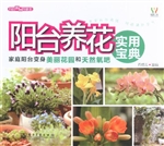 阳台养花实用宝典