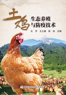 土鸡生态养殖与防疫技