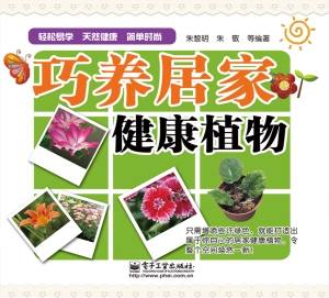 巧养居家健康植物