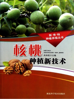 核桃种植新技术
