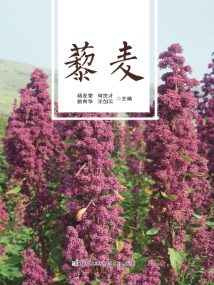藜麦