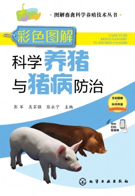 彩色图解科学养猪与猪
