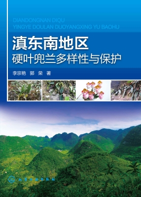 滇东南地区硬叶兜兰多