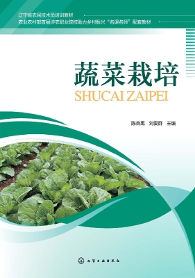 蔬菜栽培