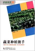 蔬菜种植能手