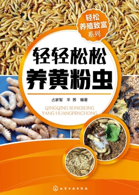 轻轻松松养黄粉虫