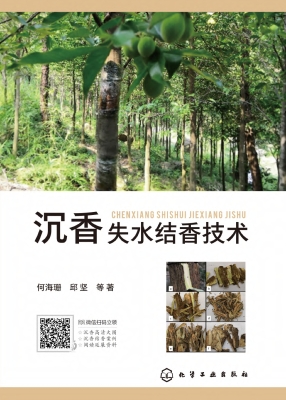沉香失水结香技术