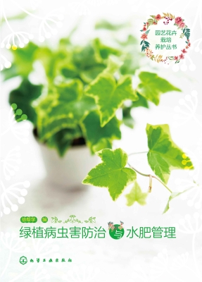 绿植病虫害防治与水肥