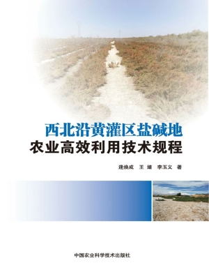 西北沿黄灌区盐碱地农
