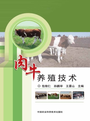 肉牛养殖技术