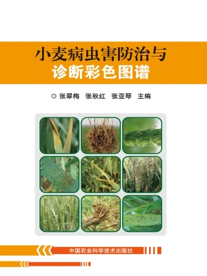 小麦病虫害防治与诊断