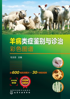 羊病类症鉴别与诊治彩