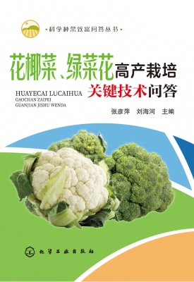 花椰菜、绿菜花高产栽