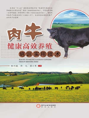 肉牛健康高效养殖培训