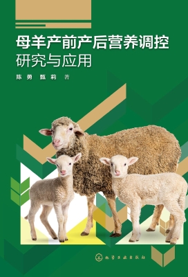 母羊产前产后营养调控