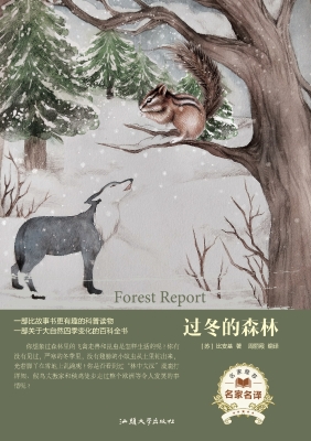 过冬的森林