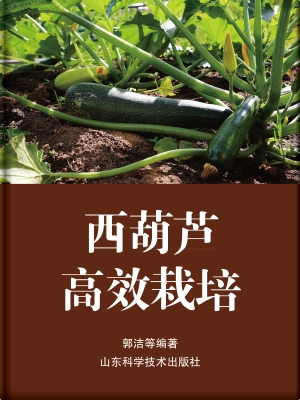 西葫芦高效栽培