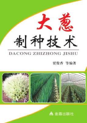 大葱制种技术