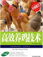 高效养鸡技术