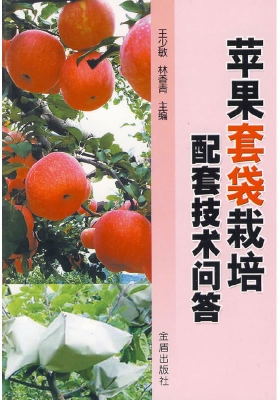 苹果套袋栽培配套技术