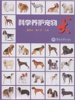 科学养护宠物犬