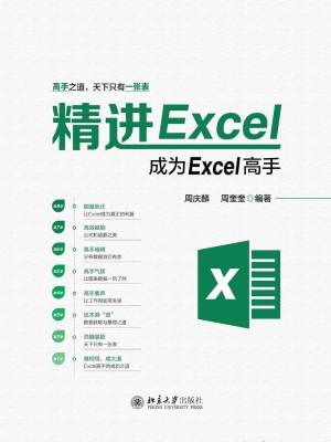 精进Excel——成为Exc