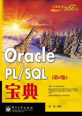Oracle PL/SQL宝典