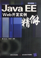 Java EE Web开发实例