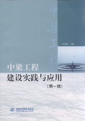 中梁工程建设实践与应