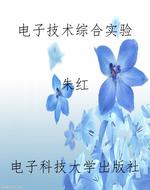 电子技术综合实验