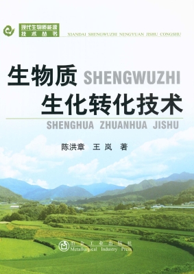 生物质生化转化技术