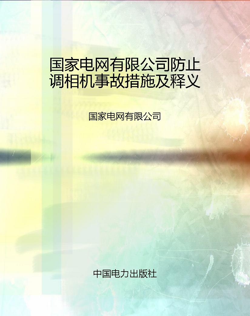国家电网有限公司防止