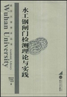 水工钢闸门检测理论与