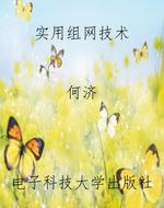实用组网技术