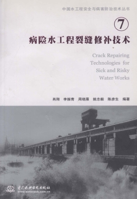 病险水工程裂缝修补技