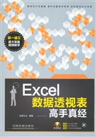 Excel数据透视表高手