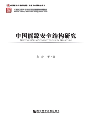 中国能源安全结构研究
