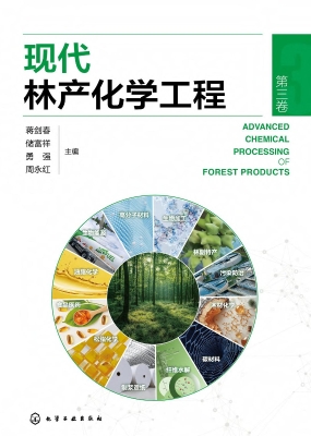 现代林产化学工程（第三