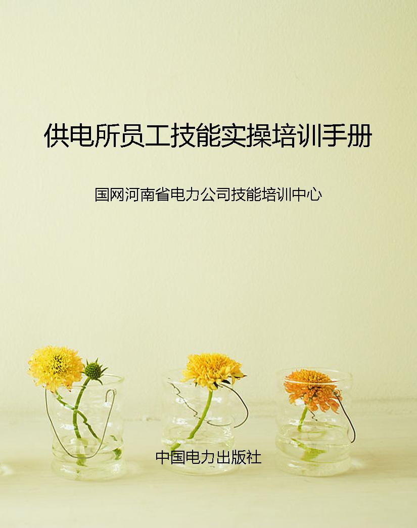 供电所员工技能实操培