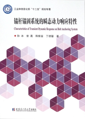 锚杆锚固系统的瞬态动