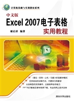 中文版Excel 2007电子